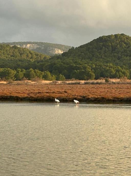 Maison Chalet 200 M De La Plage Climatisation Et Wifi Gruissan Εξωτερικό φωτογραφία
